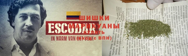 скорость Лагань