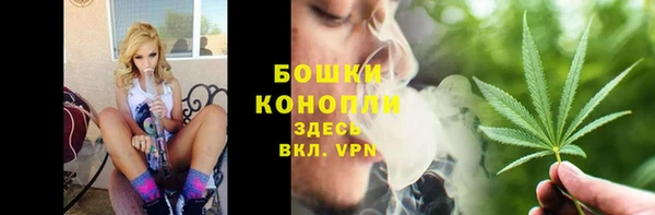 скорость Ладушкин