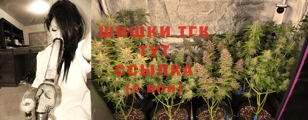 скорость Лагань