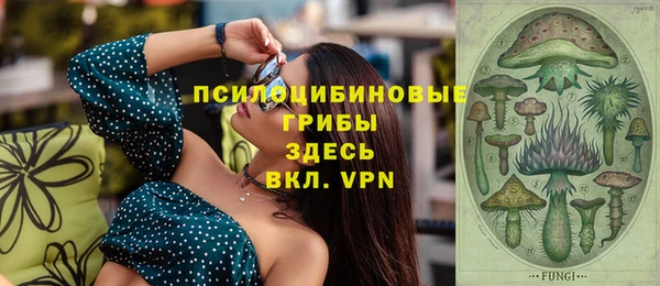 скорость Ладушкин