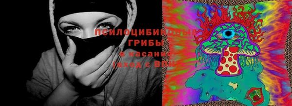 скорость Лагань